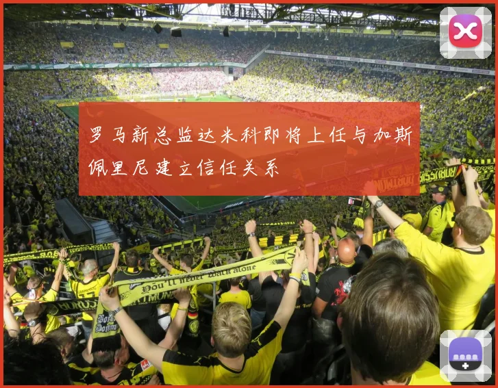 罗马新总监达米科即将上任与加斯佩里尼建立信任关系